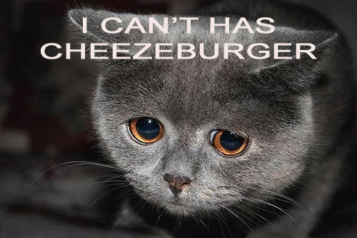 no cheze burger.jpg