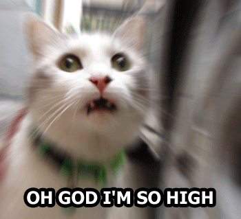 1176473778655.gif