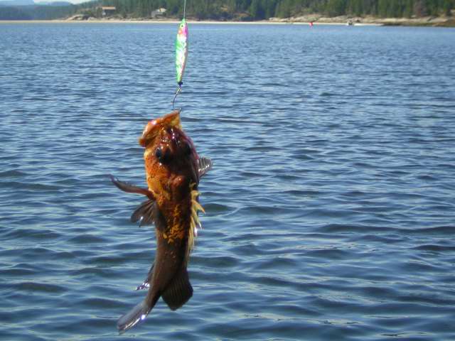 image0005.jpg