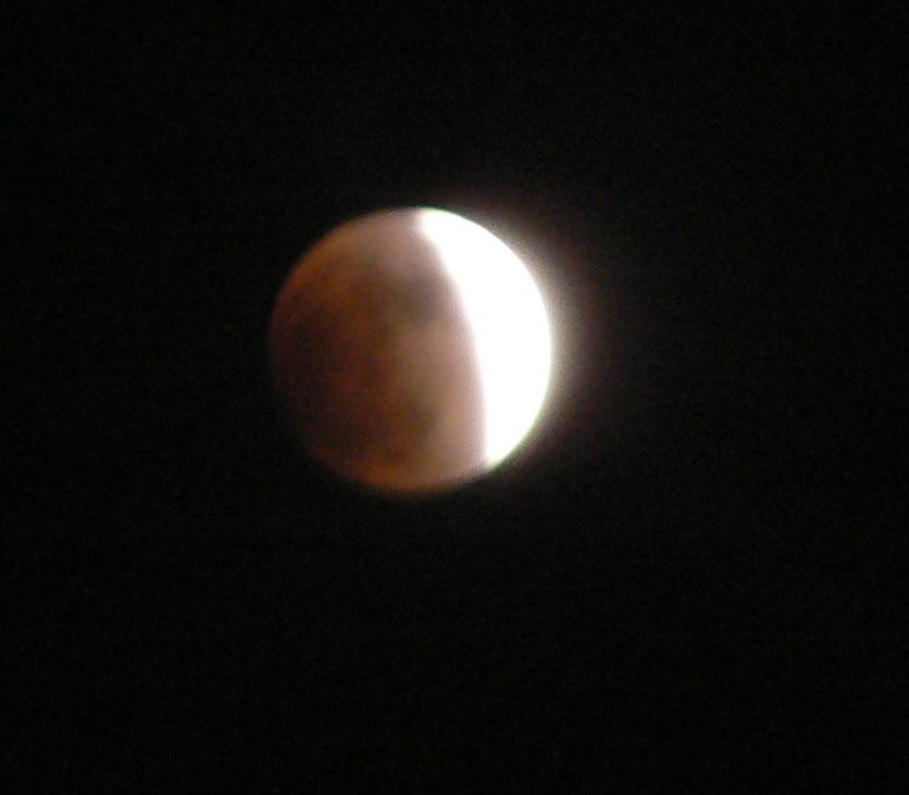 P1070038.jpg