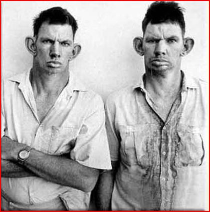 inbred.JPG