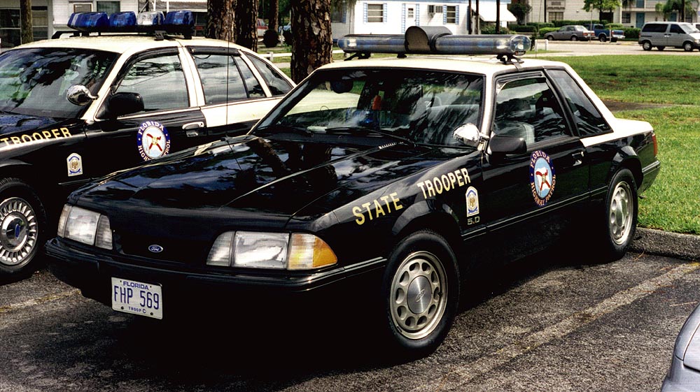 9905784.jpg