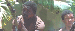 85555shellbean.gif